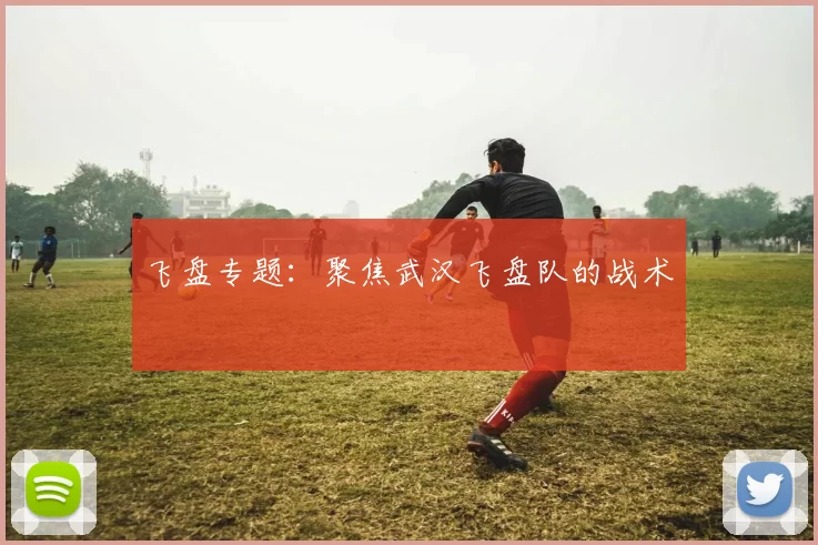 飞盘专题：聚焦武汉飞盘队的战术