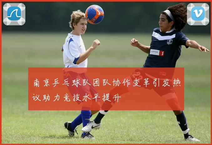 南京乒乓球队团队协作变革引发热议助力竞技水平提升