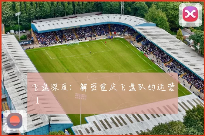 飞盘深度：解密重庆飞盘队的运营_1