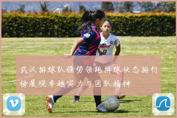 武汉排球队强势领跑排球状态排行榜展现卓越实力与团队精神