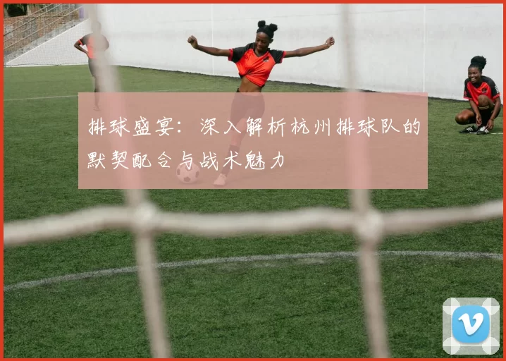 排球盛宴：深入解析杭州排球队的默契配合与战术魅力