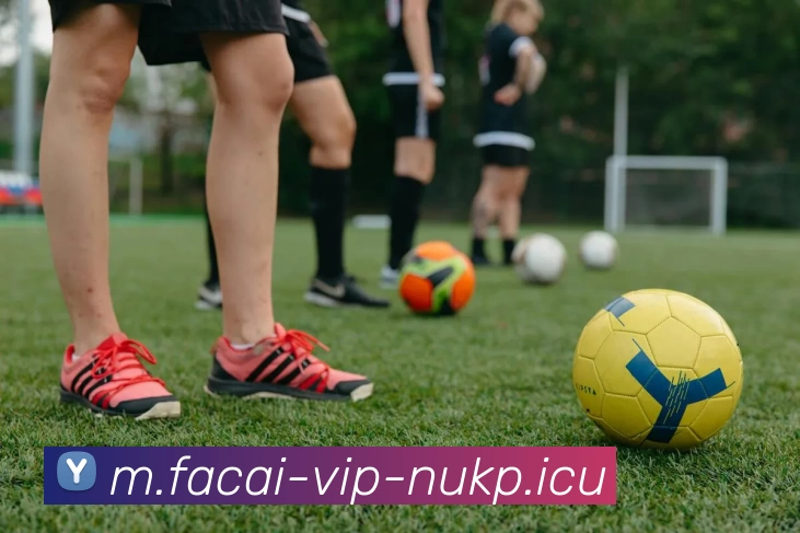 九游体育品牌故事