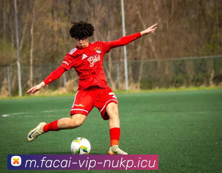 九游体育服务体系